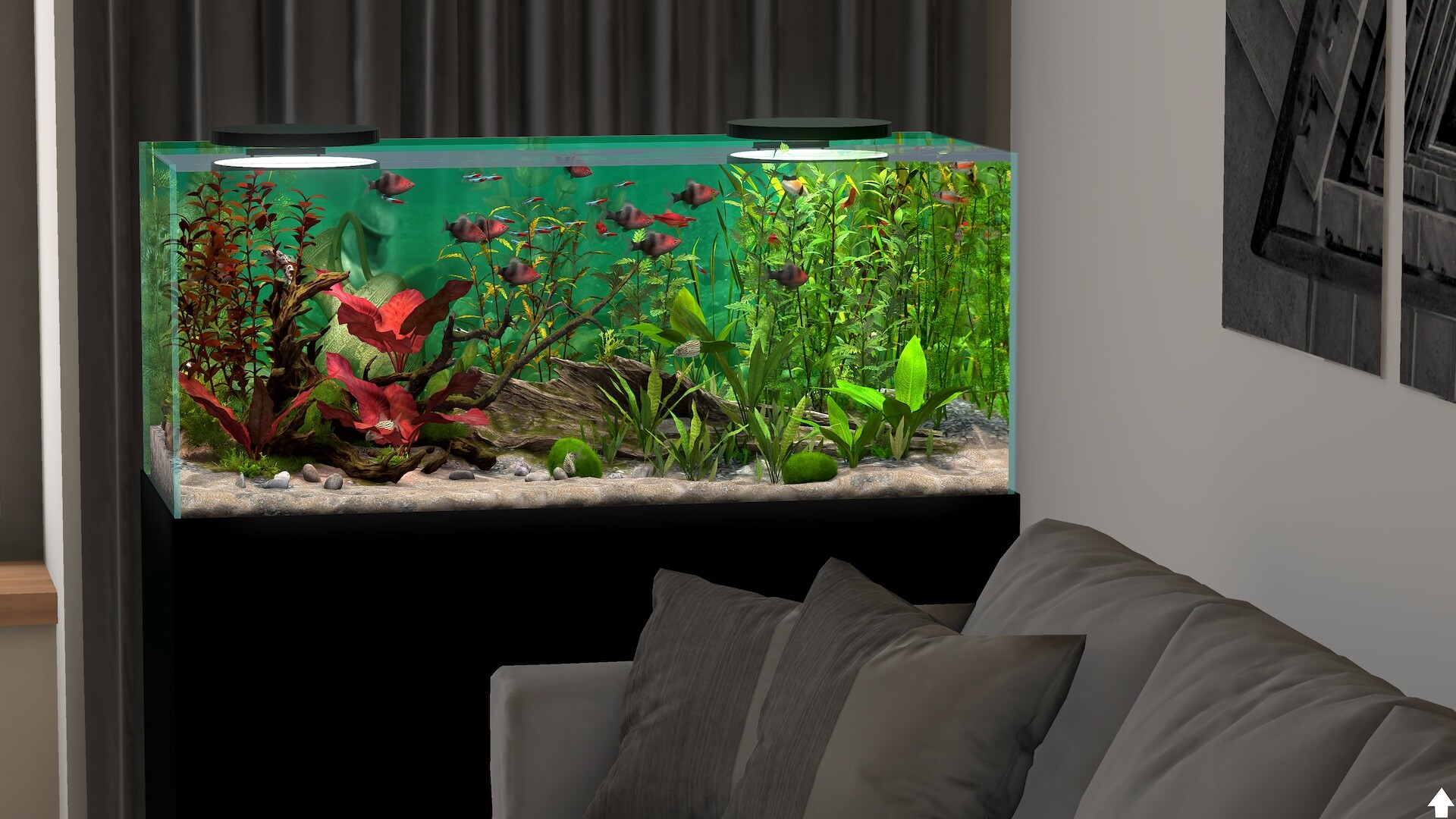 玻璃背后：水族馆模拟器/Behind Glass: Aquarium Simulator