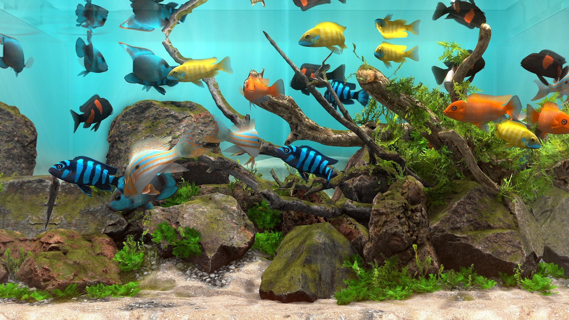 玻璃背后：水族馆模拟器/Behind Glass: Aquarium Simulator