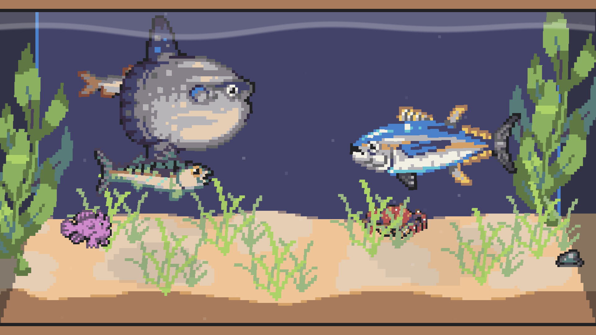 渔诱水族馆/Lured In