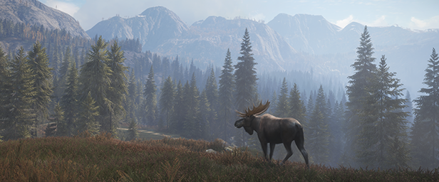 猎人：荒野的召唤/theHunter: Call of the Wild（更新v3028143）(图1)