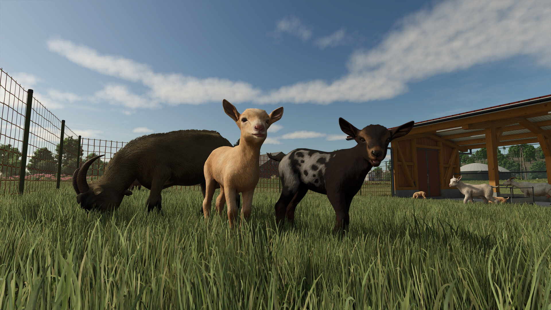 模拟农场25联机版（Farming Simulator 25 Online） 截图3