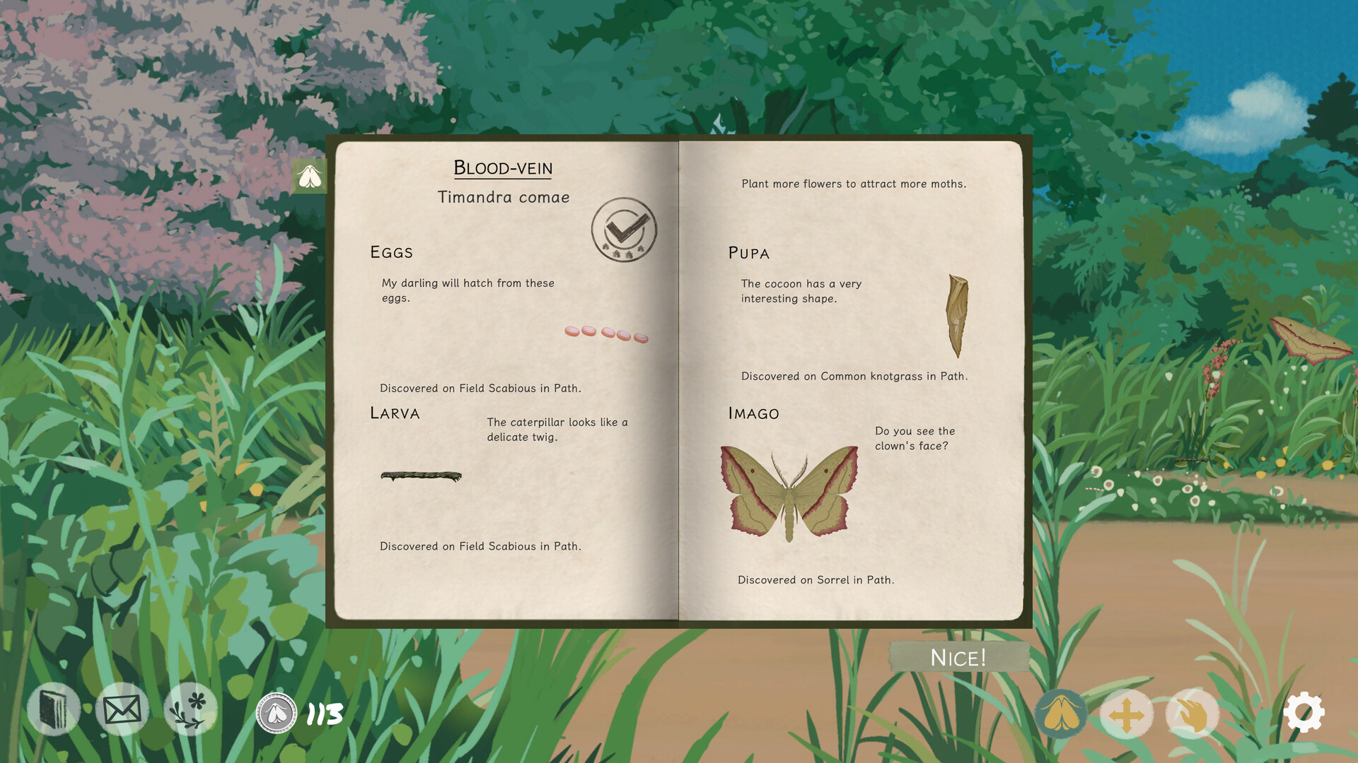 飞蛾记录（Mothkeep） 截图9