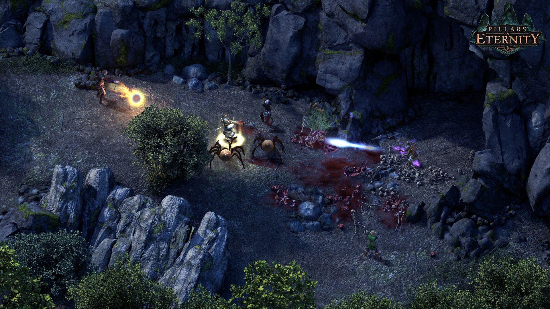 永恒之柱（Pillars of Eternity） 截图4