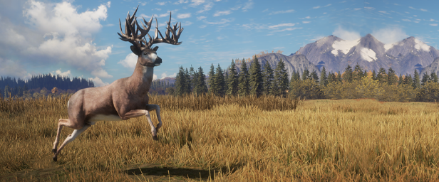 猎人：荒野的召唤/theHunter: Call of the Wild（更新v3028143）(图4)