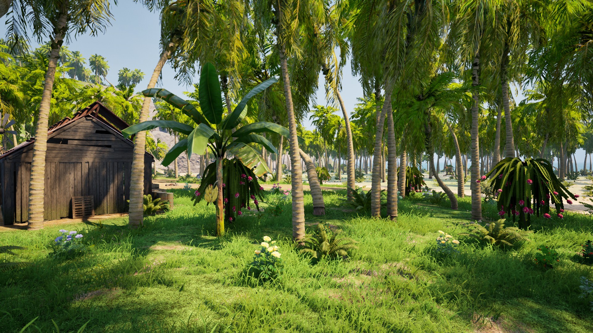 挖掘岛联机版（Dig Island Online）v0.5.0.2 免安装中文版下载 截图11