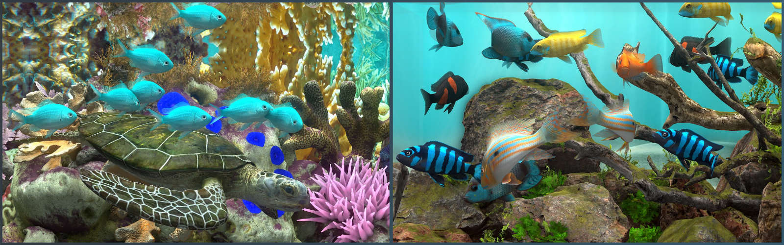 玻璃背后：水族馆模拟器/Behind Glass: Aquarium Simulator（更新Build.23738346） 截图7