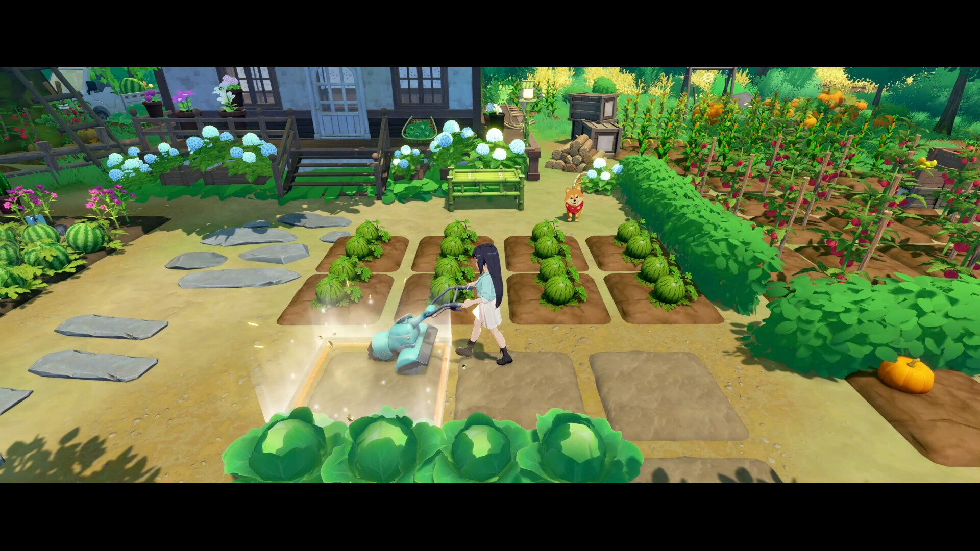 星砂岛联机版（StarSand Island Online）v1.0.0.14580 免安装中文版下载 截图16