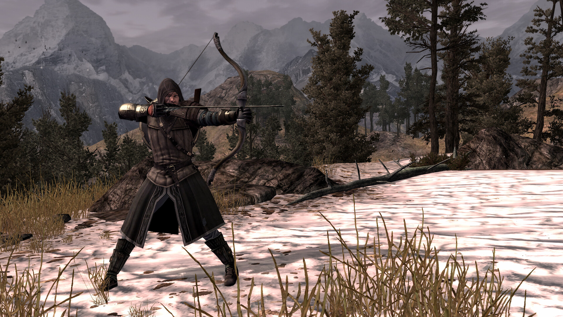 指环王：北方战争（The Lord of the Rings: War in the North - Legacy Edition）Build.24381077 免安装中文版下载 截图6