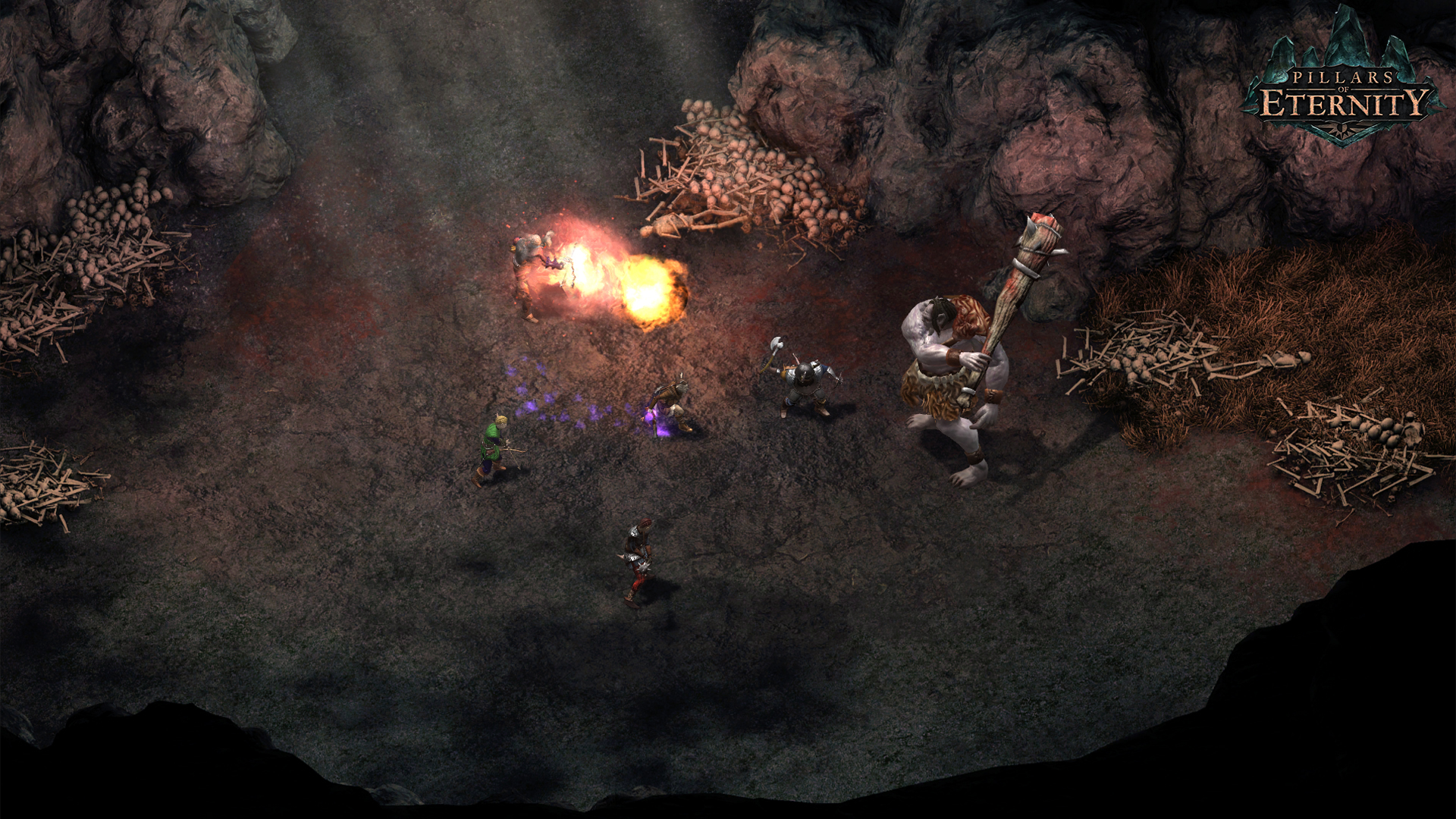 永恒之柱（Pillars of Eternity） 截图6