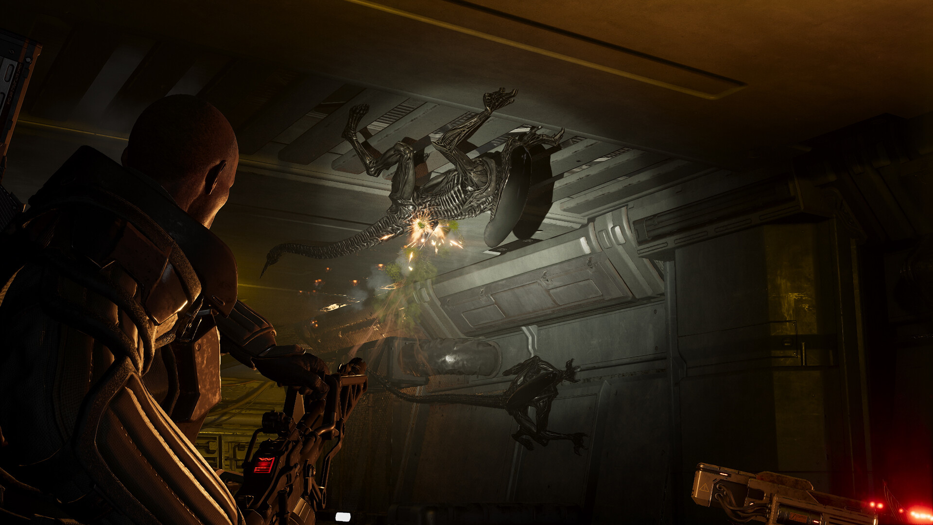 异形：火力精英2（Aliens: Fireteam Elite 2）v1.0.3 免安装中文版下载 截图4