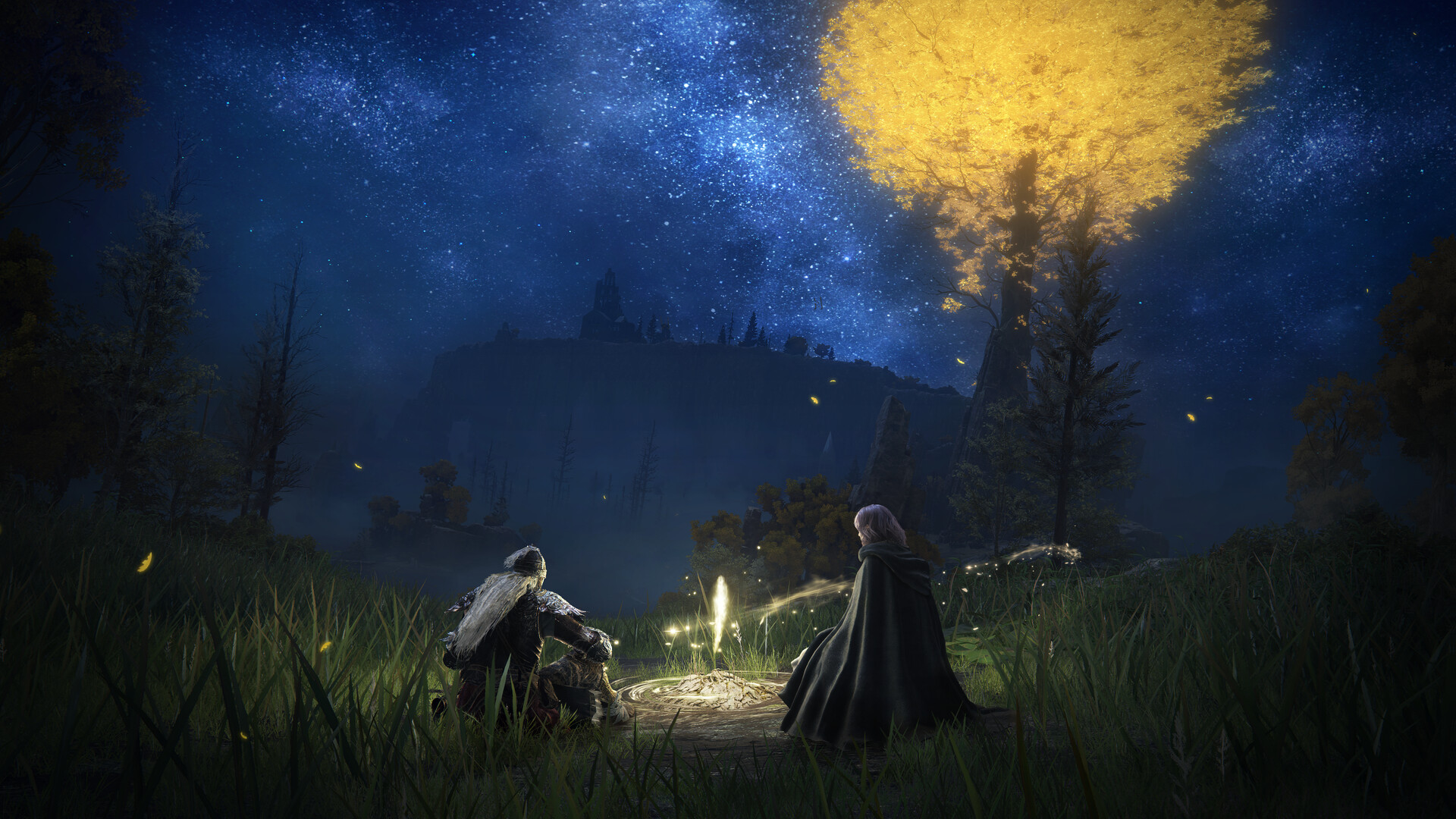 艾尔登法环黄金树幽影联机版（ELDEN RING Shadow of the Erdtree Online） 截图8