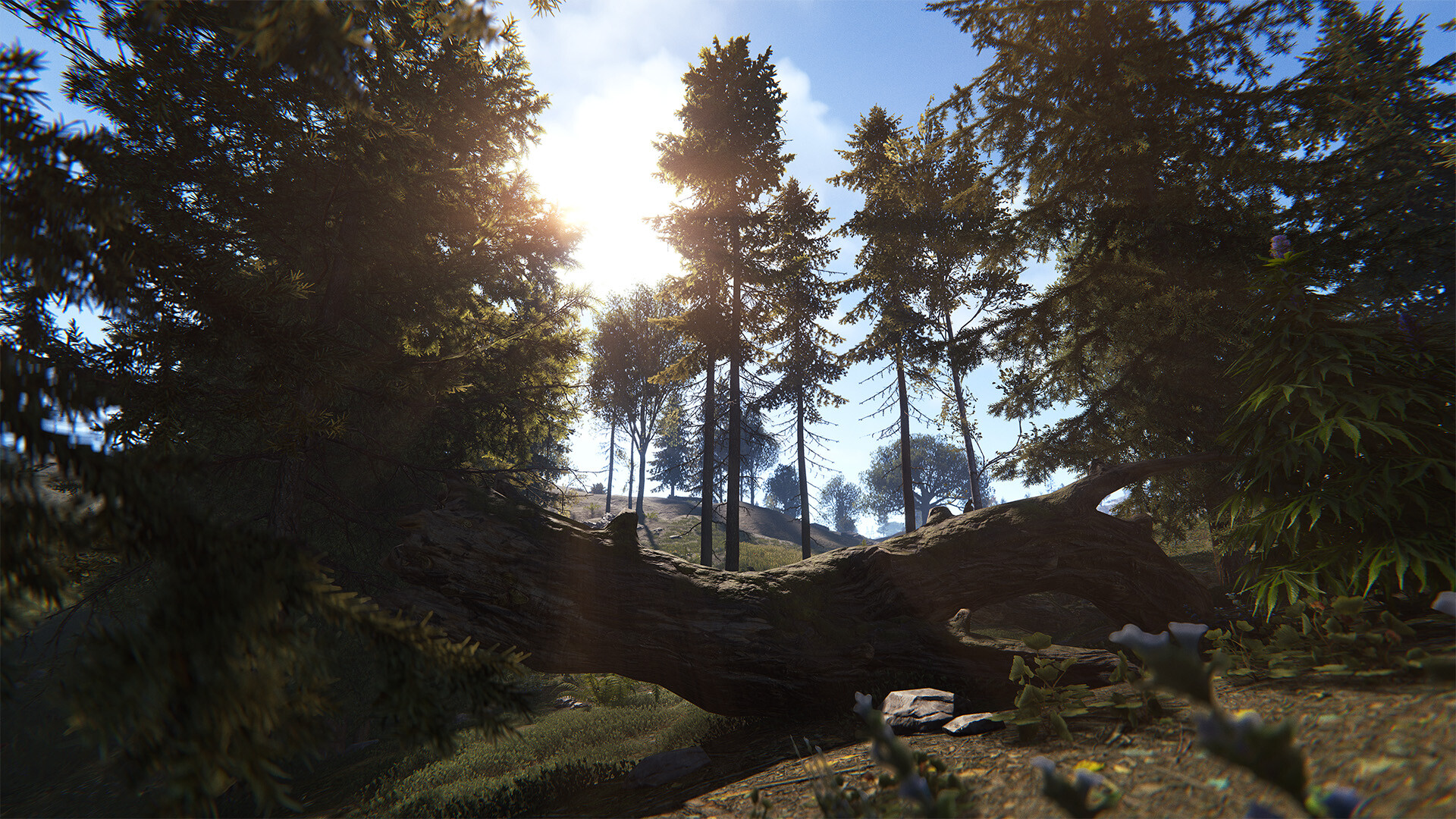 腐蚀‌联机版（Rust Online）v2633.288.1 免安装中文版下载 截图23