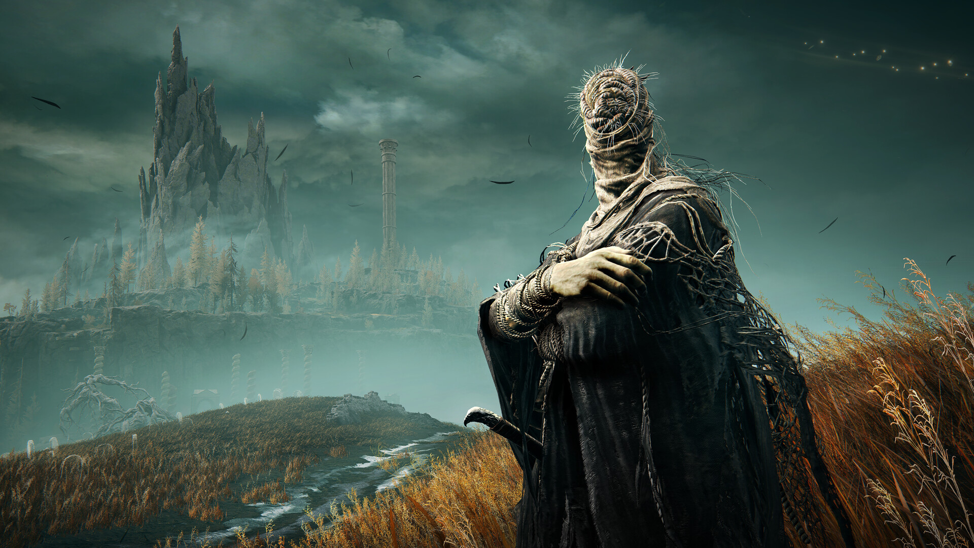 艾尔登法环黄金树幽影联机版（ELDEN RING Shadow of the Erdtree Online） 截图21