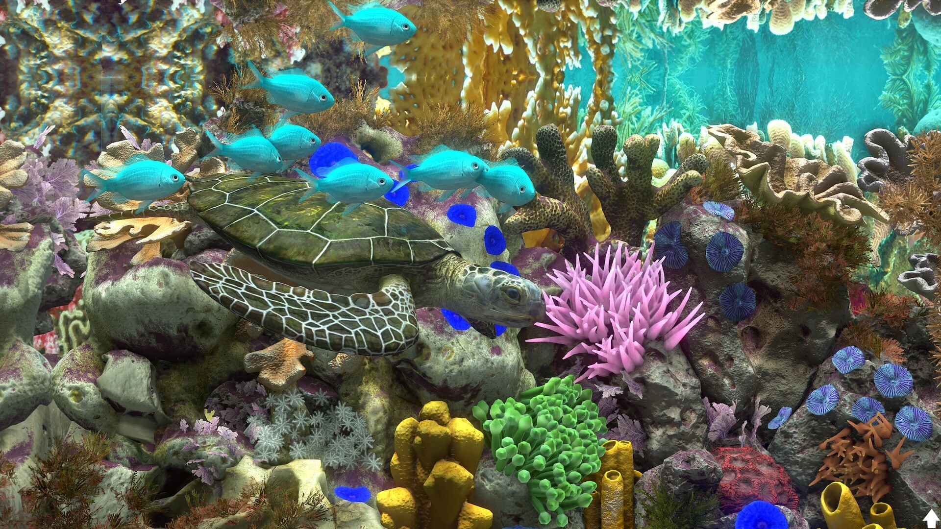玻璃背后：水族馆模拟器/Behind Glass: Aquarium Simulator